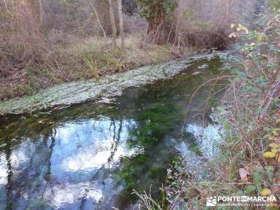 Parque Natural del Barranco Río Dulce;senderismo comunidad valenciana senderismo en cazorla